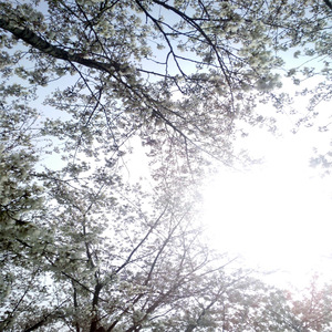 小日本妇女大放尿
